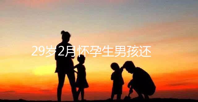 29歲2月懷孕生男孩還是女孩?清宮表2023帶你預(yù)測結(jié)果
