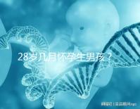 28歲幾月懷孕生男孩?2023年生男孩的月份表看這里